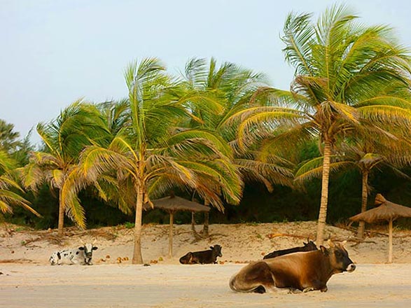 Escale Guinée-Bissau (Ile Carache)