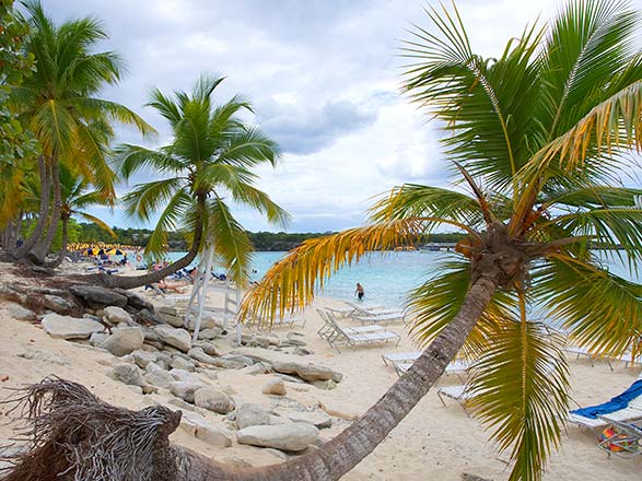 Escale République Dominicaine (Isla Catalina)