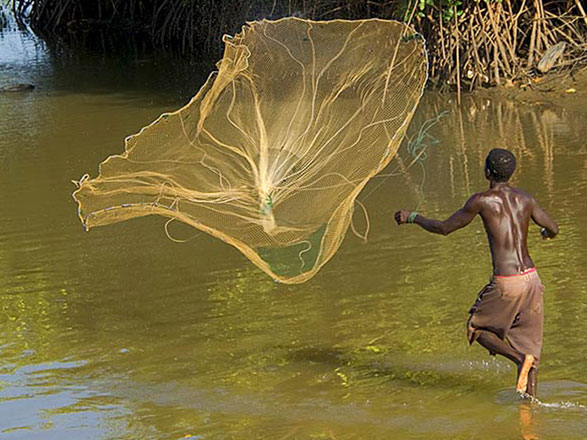 Escale Guinée-Bissau (Ile d'Orango)