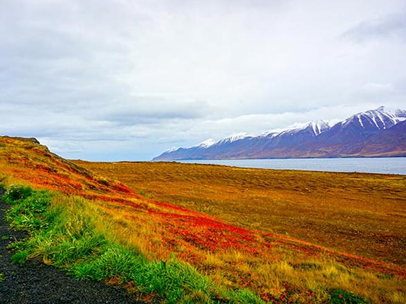 Escale Ile de Hrisey