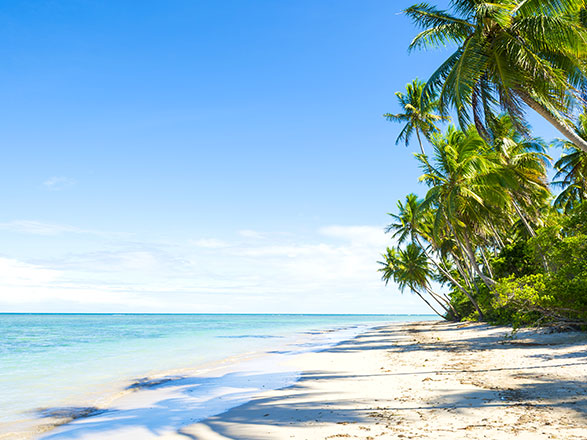 Escale Brésil (Ilheus)