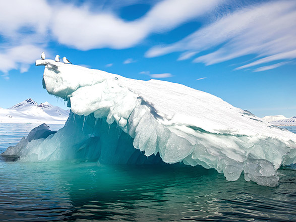 Escale Spitzberg (Isfjord)