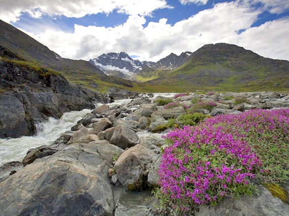 Escale Groenland (Itilleq et kangaamiut)