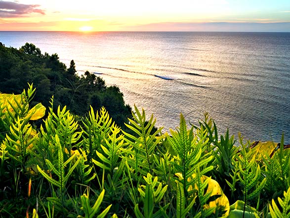 Escale Hawaï (Kahului)