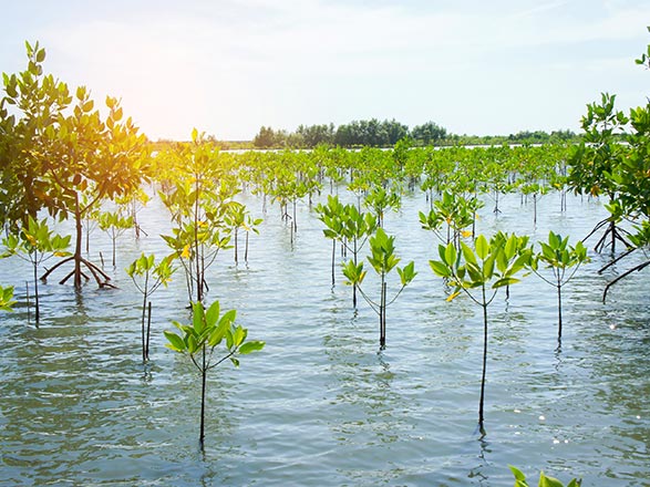 Escale KAMPONG TRALACH - KOH CHEN - PHNOM PENH