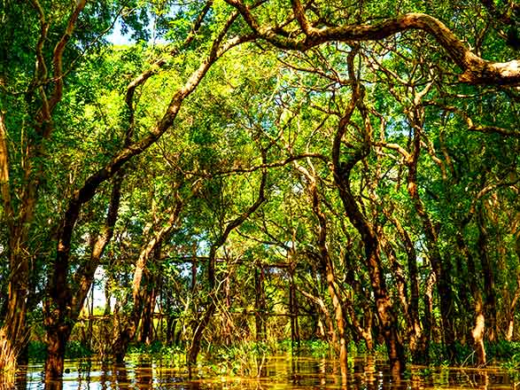 Escale KAMPONG TRALACH - KOH CHEN - PHNOM PENH