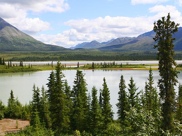 Escale Alaska (Kodiak)