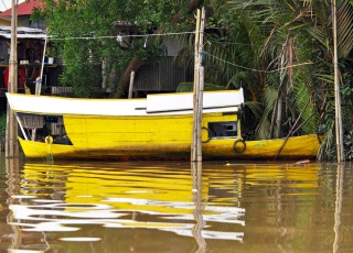 Escale Bornéo (Kuching)