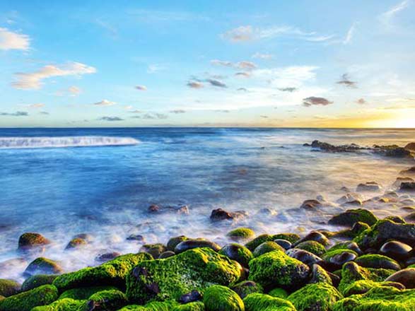 Escale La Réunion (Le Port)