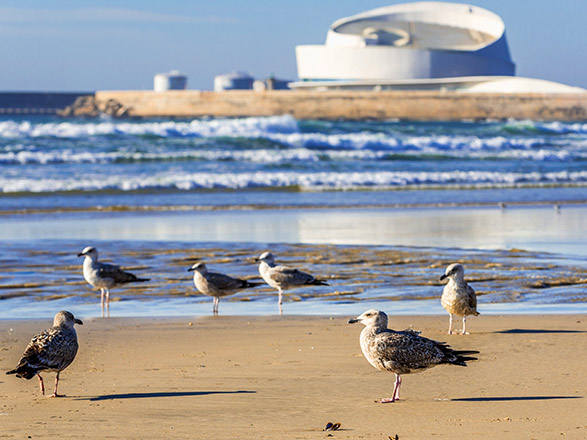 Escale Portugal (Leixoes)