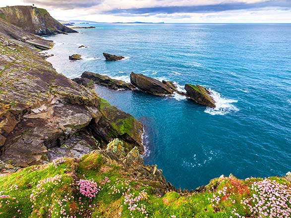 Escale Ecosse (Lerwick)