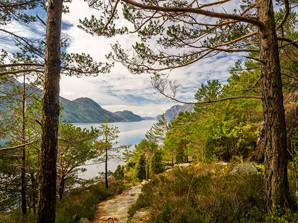 Escale Norvège (Lysefjord)