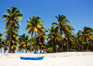 Escale Mozambique (Maputo)