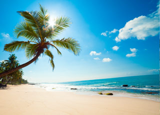 Escale Vanuatu (Mystery Island)