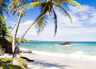 Escale Vanuatu (Mystery Island)