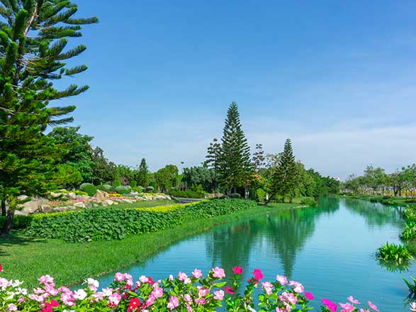 Escale Australie (Ile de Norfolk)