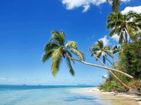 Escale Iles Tonga (Nuku Alofa)