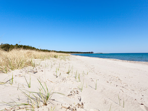 Escale Stockholm (Nynashamn)