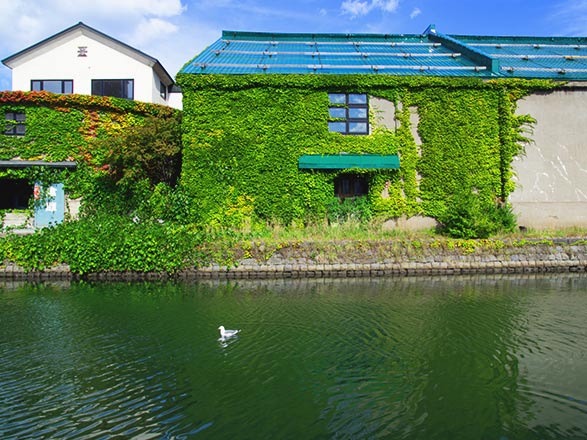 Escale Japon (Otaru)