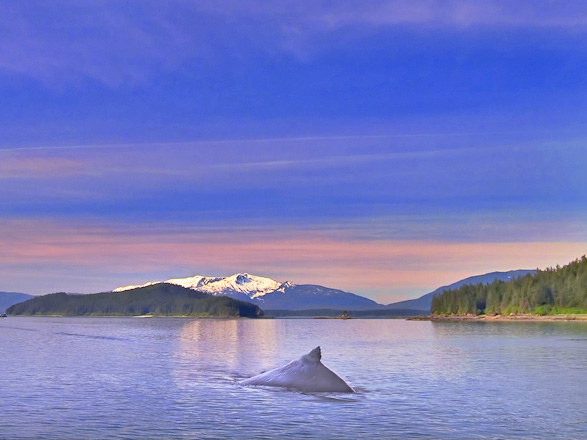 Escale Alaska (Passage Intérieur)