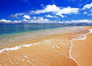 Escale Vietnam (Phu My)