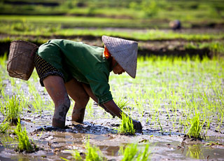 Escale Vietnam (Phu My)