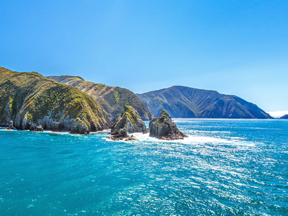 Escale Nouvelle-Zélande (Picton)