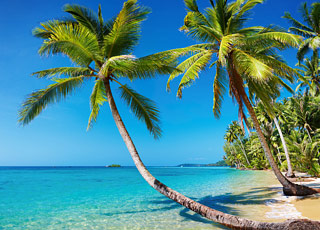 Escale Costa Rica (Playas del Coco)