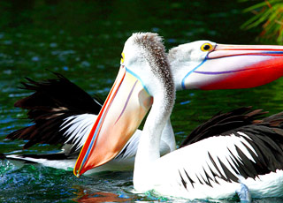 Escale Costa Rica (Playas del Coco)