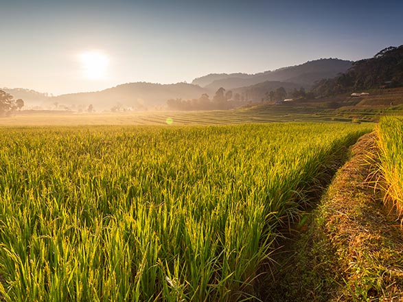Escale Malaisie (Port Kelang)