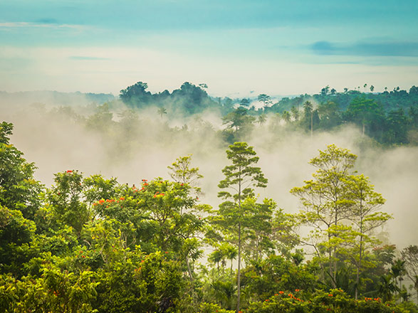 Escale Papouasie-Nouvelle-Guinée (Port Moresby)