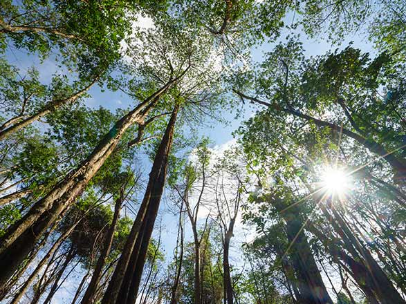 Escale Papouasie-Nouvelle-Guinée (Port Moresby)