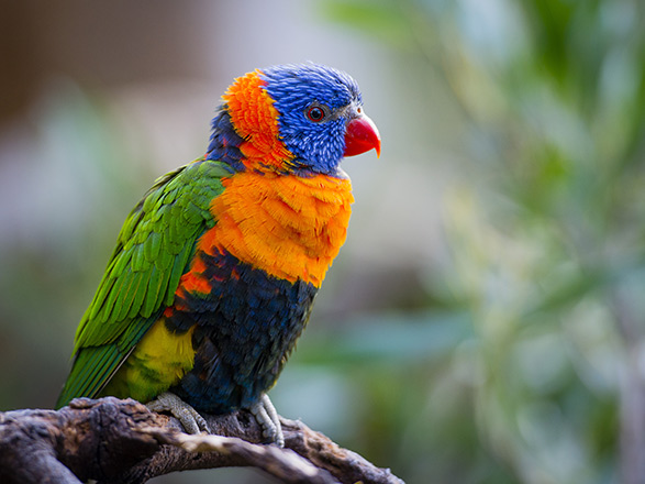 Escale Papouasie-Nouvelle-Guinée (Port Moresby)