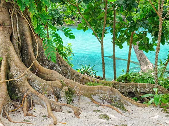 Escale Vanuatu (Port Vila)