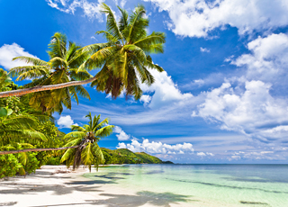 Escale Seychelles (Praslin)