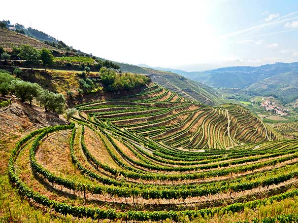 Escale Regua (Portugal)