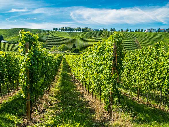 Escale REMICH - Luxembourg(1) - REMICH