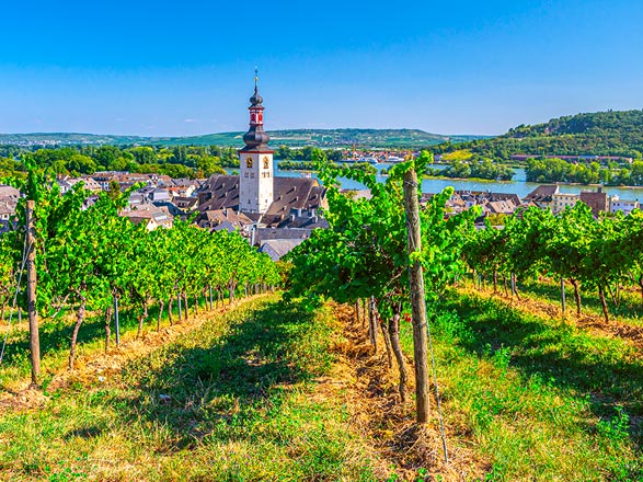 Escale RUDESHEIM AM RHEIN