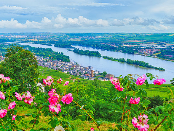 Escale RUDESHEIM AM RHEIN