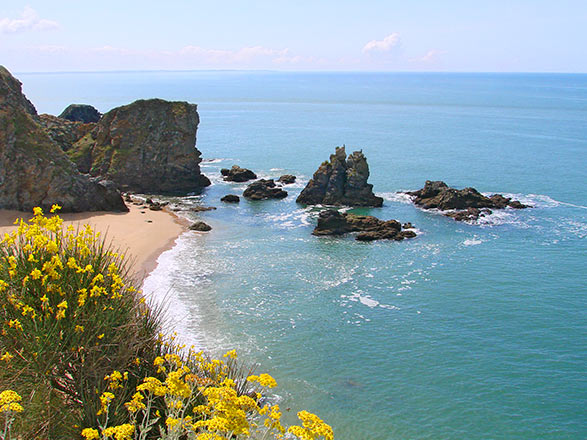 Escale France (Saint Nazaire)