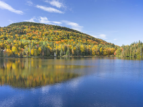 Escale Canada (Fleuve Saint-Laurent)
