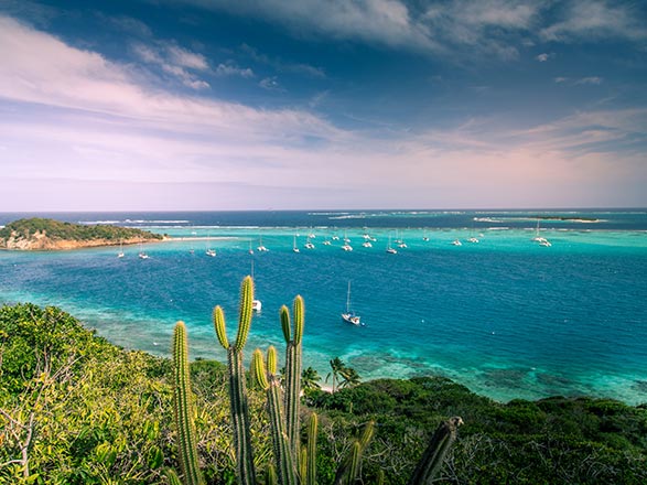 Escale Iles Grenadines (Admiralty Bay, Bequia)