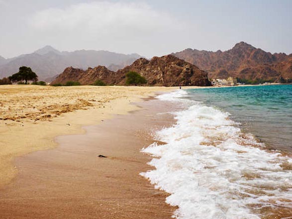 Escale Oman (Salaalah)