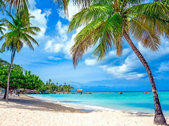 Tobago-Trinit%C3%A9-et-tobago_zoom,TT,SCA,546048.jpg?frz-v=462