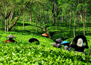 Escale Indonésie (Semarang)