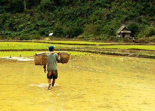 Escale Indonésie (Semarang)