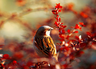 Escale Indonésie (Semarang)