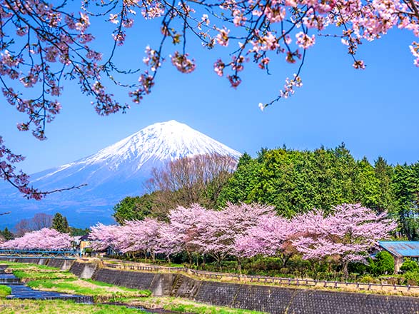 Escale Japon (Shimizu-Shizuoka)