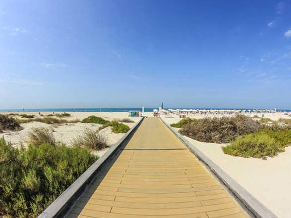 Escale Emirats Arabes Unis (Sir Bani Yas)