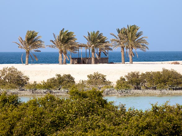 Escale Emirats Arabes Unis (Sir Bani Yas)